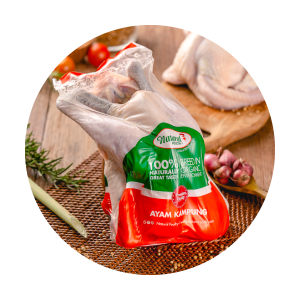 ayam-kampung-probiotik