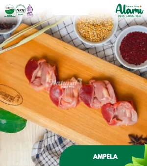 jeroan-ampela-natural-poultry