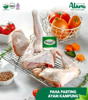 paha-parting-kampung-natural-poultry